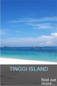 Tinggi Island